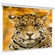 Экран Lumien Eco Picture LEP-100101