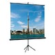 Экран Lumien Eco View LEV-100105