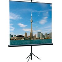 Экран Lumien Eco View LEV-100103