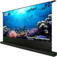 Экран Cactus CS-PSFRALR-263X148