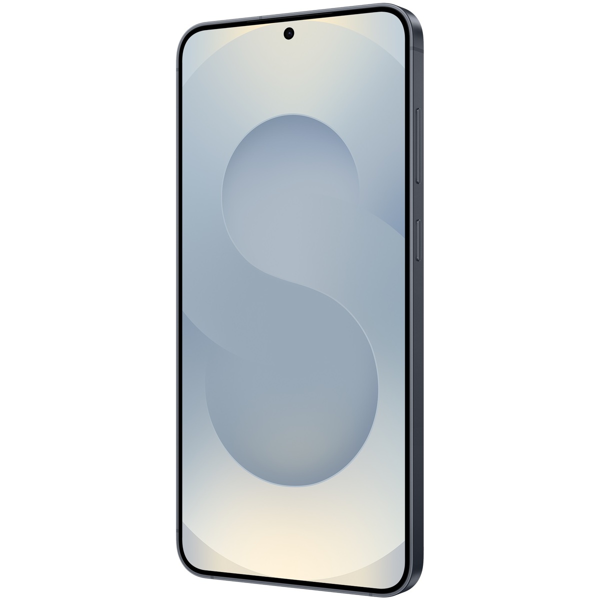Смартфон Samsung Galaxy S25+ 12 / 256Gb (Цвет: Blueblack)