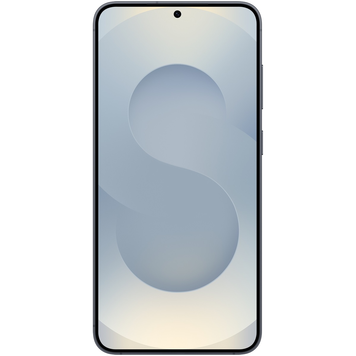 Смартфон Samsung Galaxy S25+ 12 / 256Gb (Цвет: Blueblack)