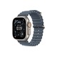 Умные часы Apple Watch Ultra 3 49mm Tita..