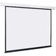 Экран Lumien Eco Control LEC-100108