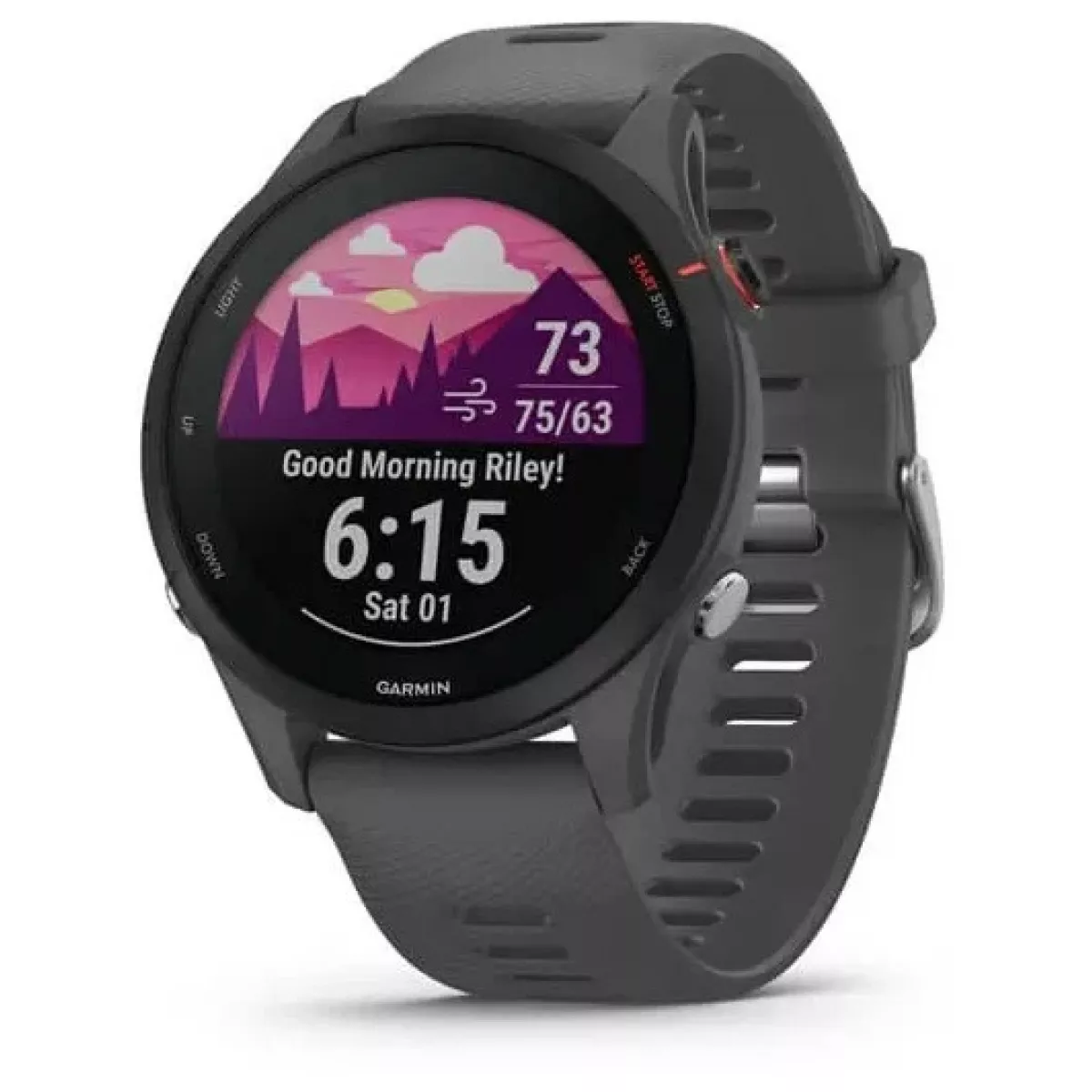 Умные часы Garmin Forerunner 255 (Цвет: Slate Gray)