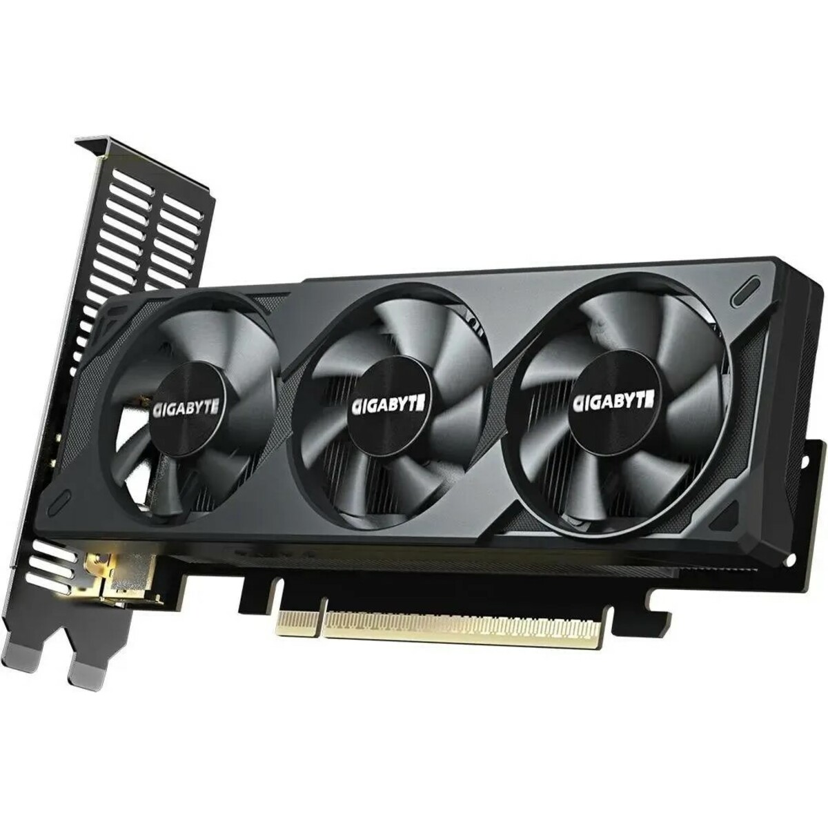 Видеокарта Gigabyte GeForce RTX 5060 D7 Low Profile 8G (GV-N5060D7-8GL) 