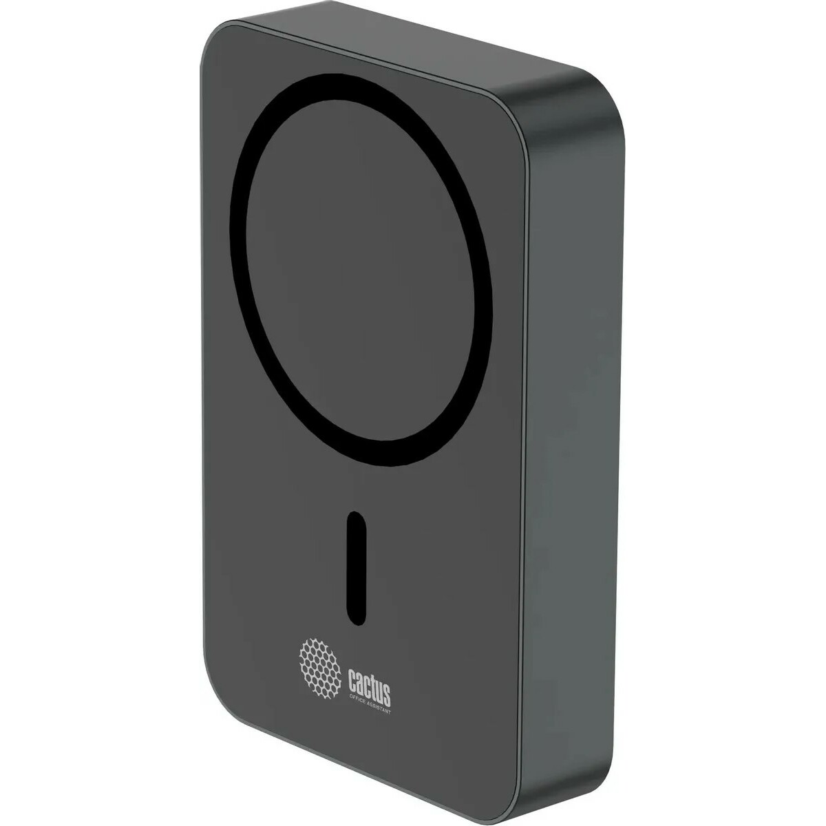 Внешний аккумулятор Cactus CS-PBFSTA-10000 10000mAh (Цвет: Gray)