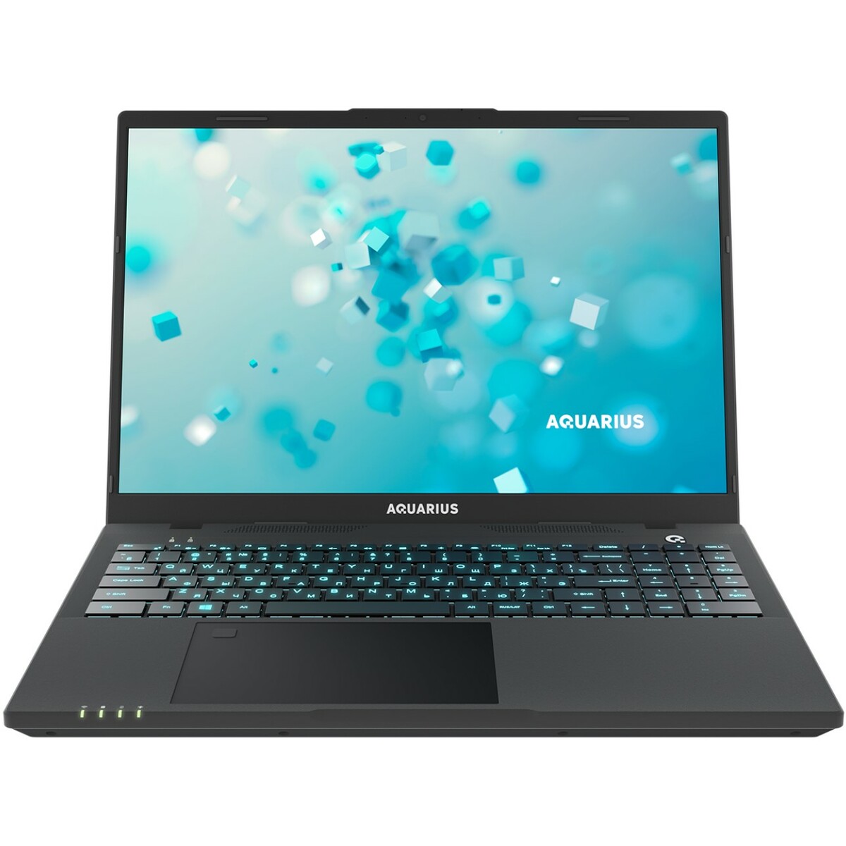 Ноутбук Aquarius Cmp NS616 (Intel Core i5 1155G7 2.5Ghz / 8Gb DDR4 / SSD 256Gb / 16