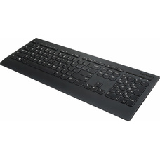 Клавиатура Lenovo Professional механическая (Цвет: Black)