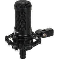 Микрофон проводной Audio-Technica AT2050, черный