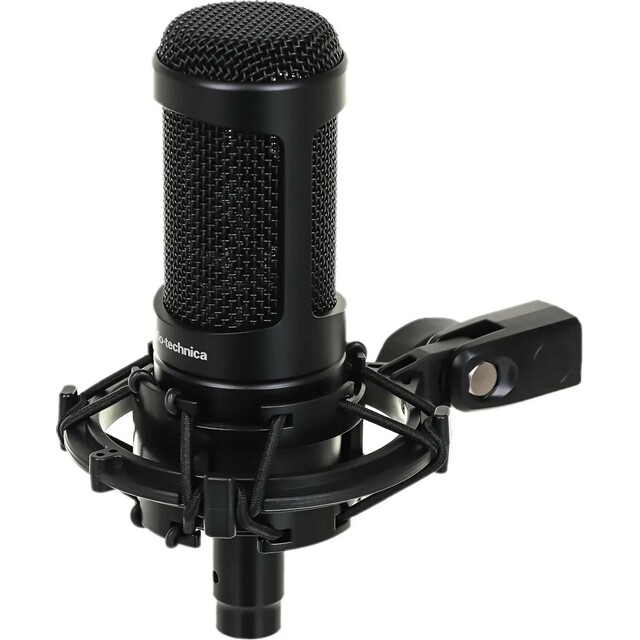 Микрофон проводной Audio-Technica AT2050, черный Микрофон проводной Audio-Technica AT2050, черный