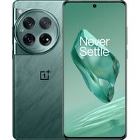 Смартфон OnePlus 12 12/256Gb (Цвет: Flowy Emerald)