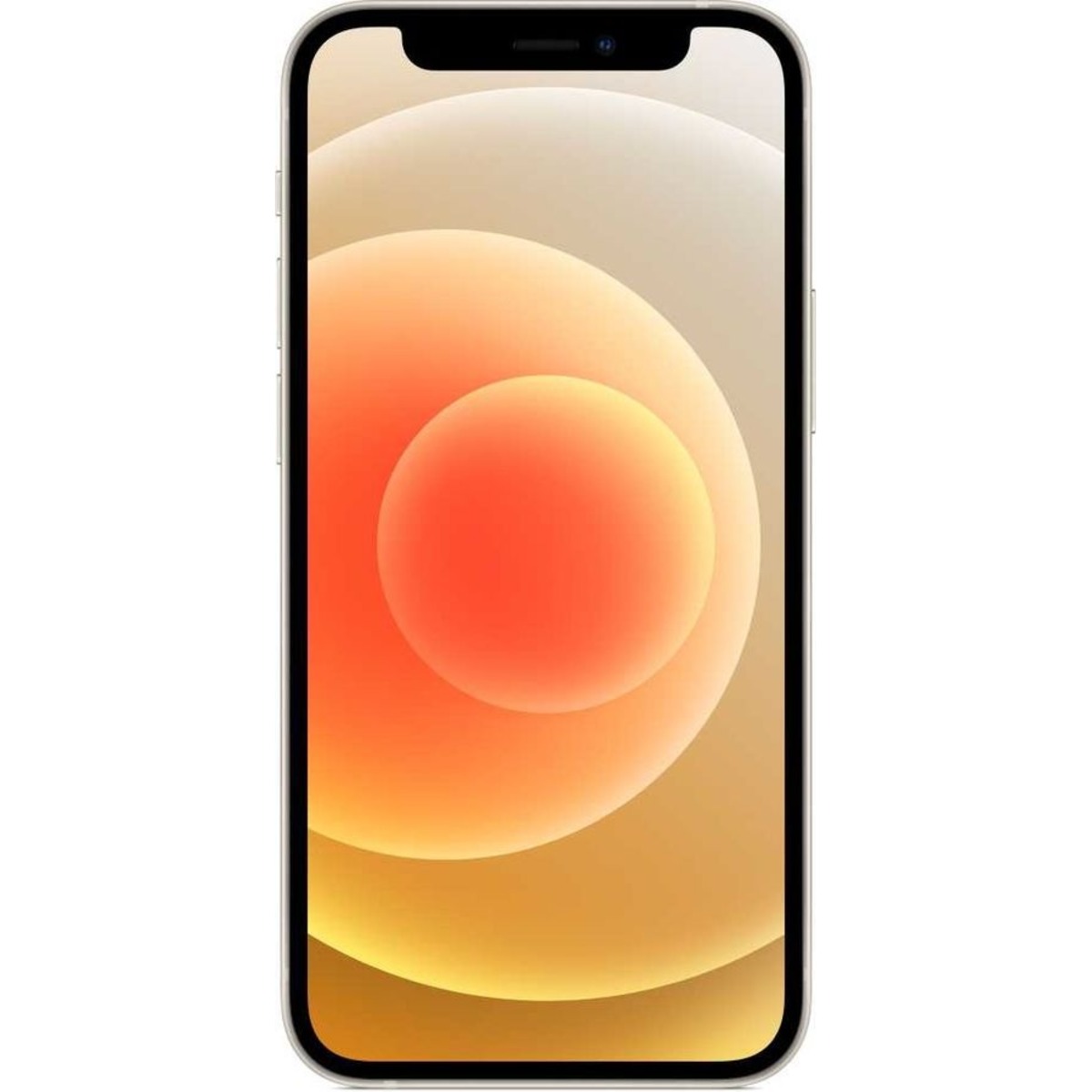 Смартфон Apple iPhone 12 mini 64Gb (NFC) (Цвет: White)