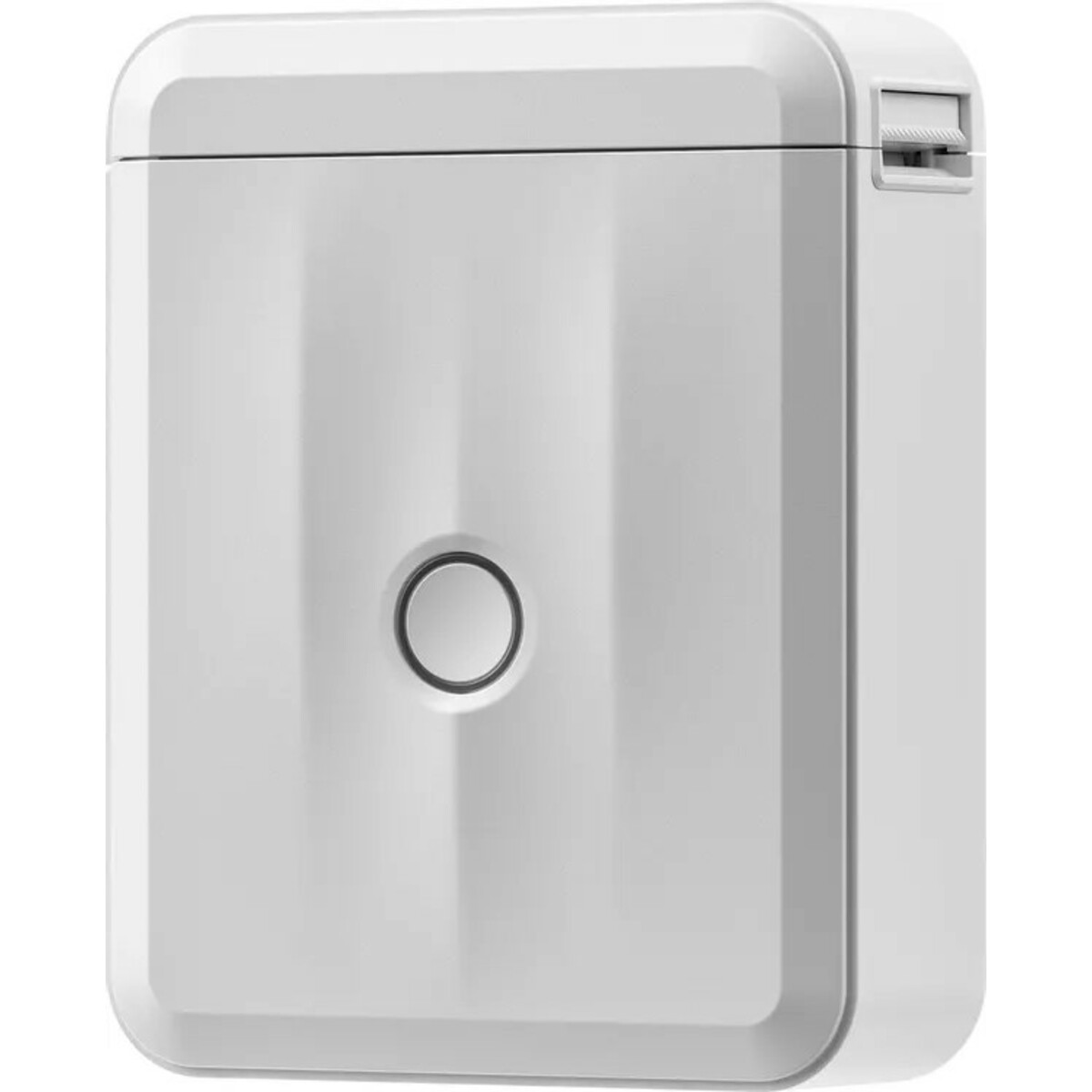 Термопринтер Niimbot D110 M, белый