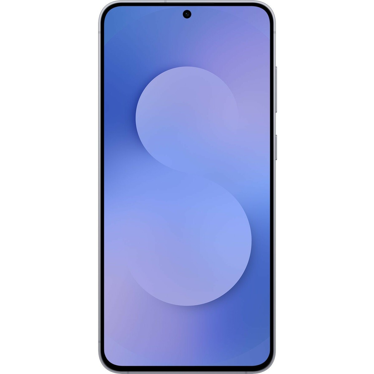 Смартфон Samsung Galaxy S25 FE 8 / 256Gb (Цвет: Navy)