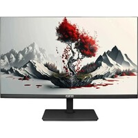 Монитор RDW Computers 24  RDW2401K, черный 