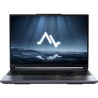 Ноутбук Maibenben X16C-i54456 (Core i5 14450HX 1.8Ghz/16Gb DDR5/SSD512Gb/NVIDIA GeForce RTX 5060 8Gb/16 /Windows 11 Home/gray) (X16C-I544560F44HG4E10)