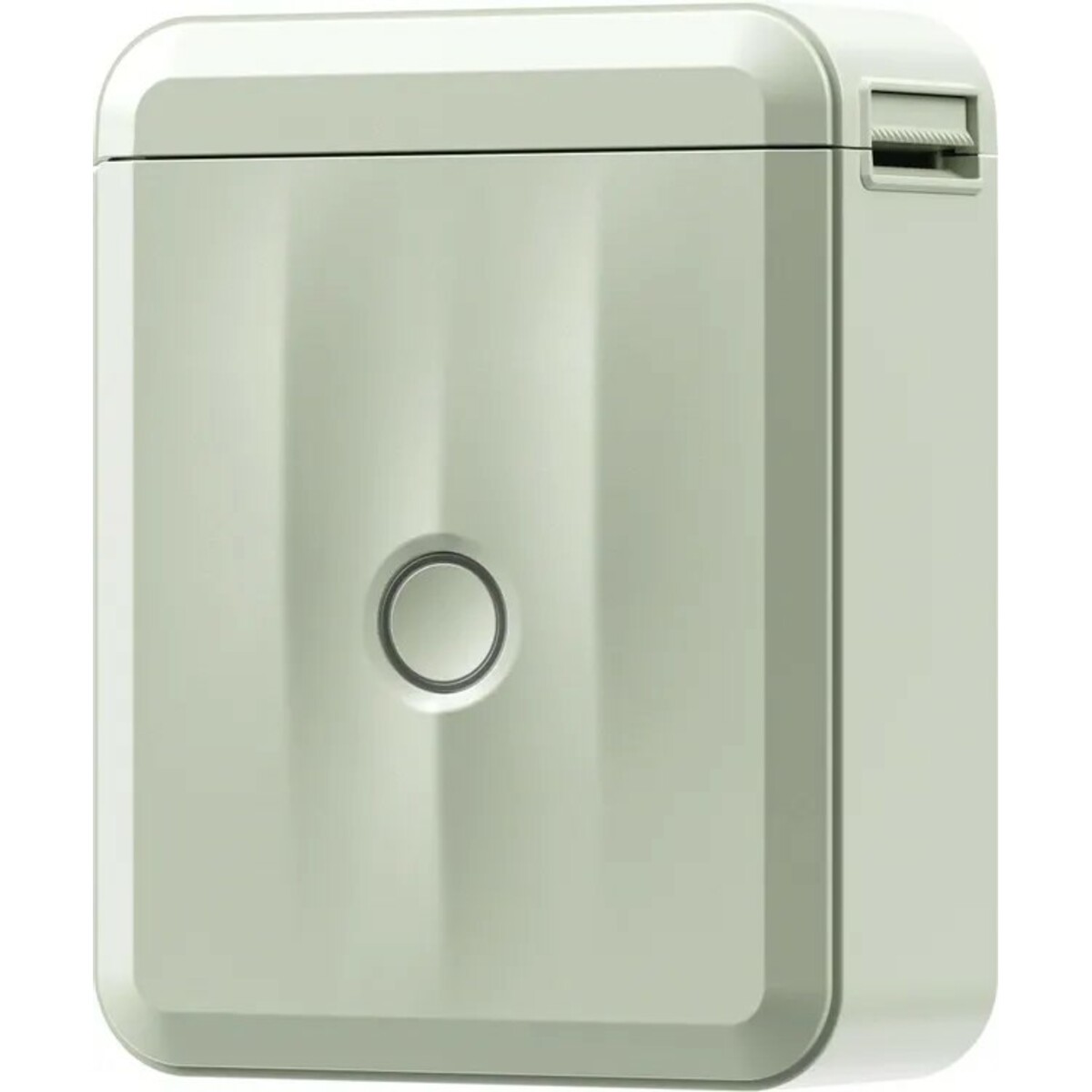 Термопринтер Niimbot D110 M (Цвет: Green)