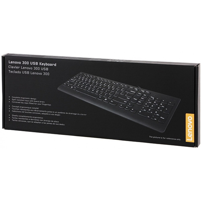 Клавиатура Lenovo 300 для ноутбука (Цвет: Black) Клавиатура Lenovo 300 для ноутбука (Цвет: Black)