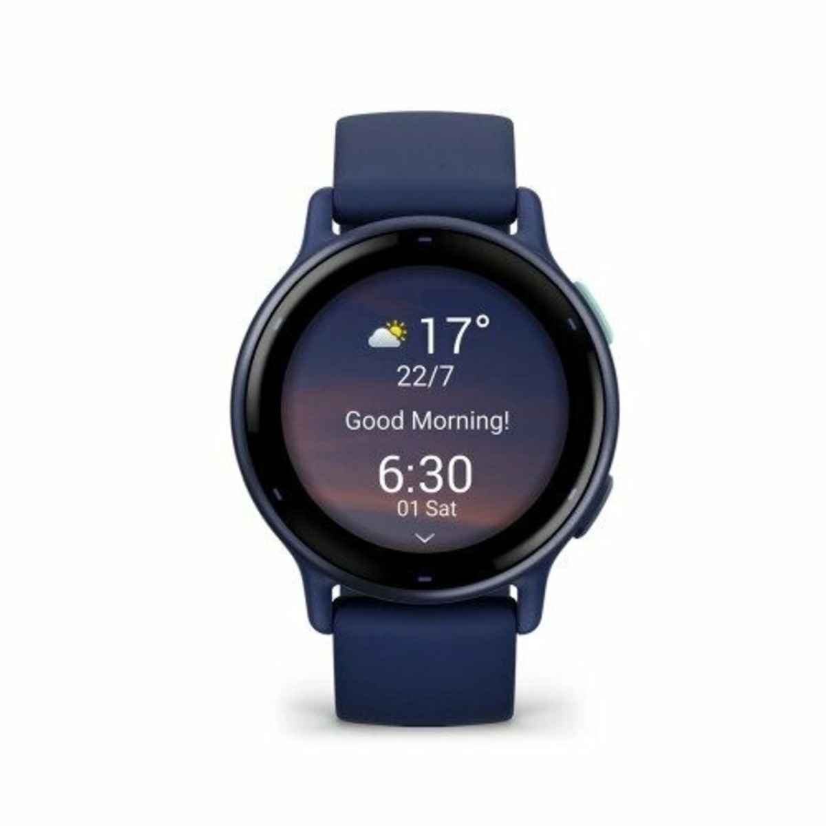 Умные часы Garmin VivoActive 5 (Цвет: Navy)