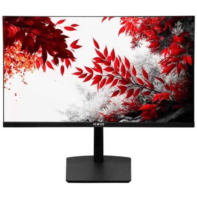 Монитор RDW Computers 32" RDW3207, черный