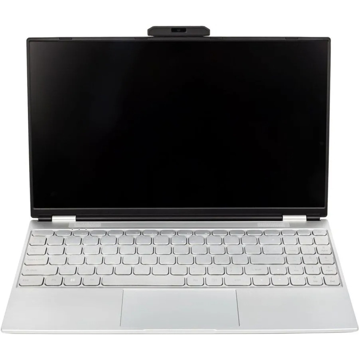 Ноутбук Hiper Workbook N1567RH Core i3 10110U 8Gb SSD256Gb Intel UHD Graphics 15.6 IPS FHD (1920x1080) Windows 10 silver BT Cam