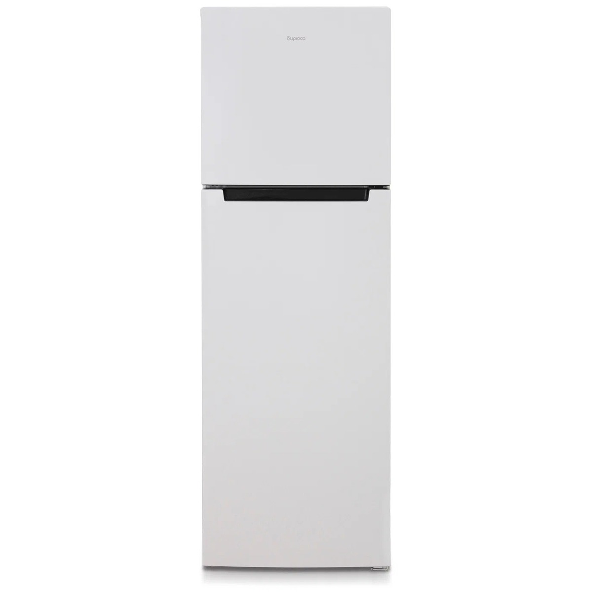 Холодильник Бирюса Б-6039 (Цвет: White)