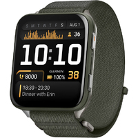 Умные часы Garmin Venu X1 (Цвет: Moss)