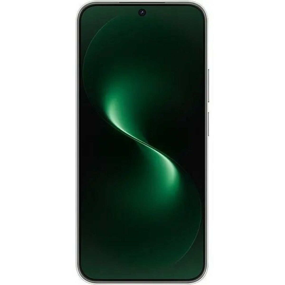 Смартфон Huawei nova 15 12/256Gb (Цвет: Mint)