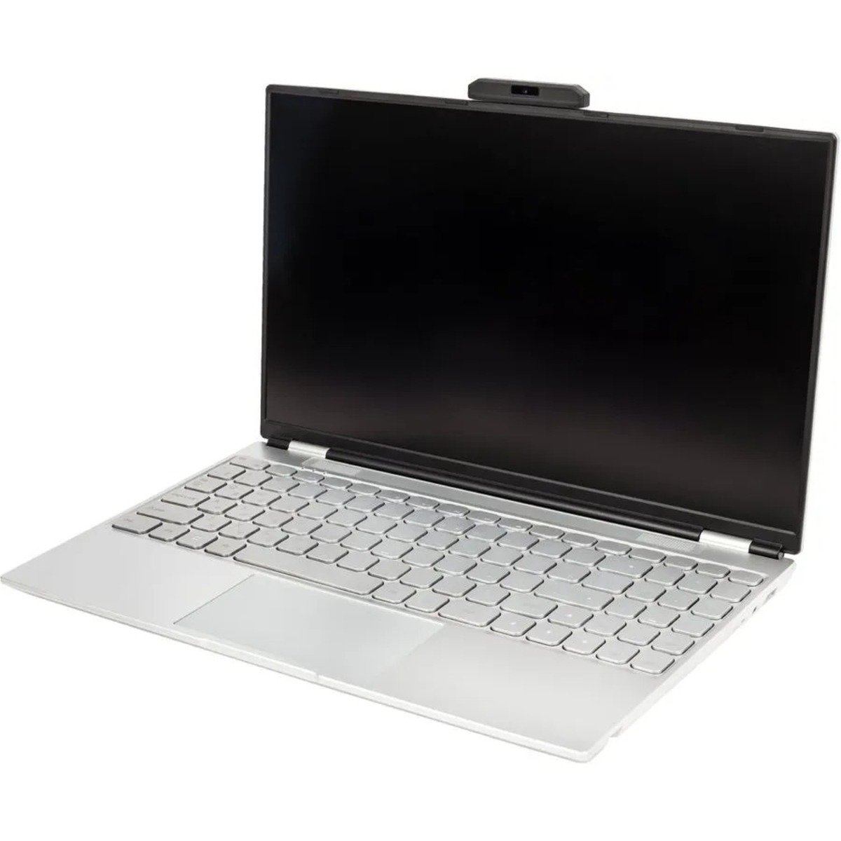 Ноутбук Hiper Workbook N1567RH Core i5 10210U 8Gb SSD256Gb Intel UHD Graphics 15.6 IPS FHD (1920x1080) Windows 10 Professional silver BT Cam