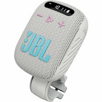 Портативная колонка JBL Wind 3 (Цвет: Gray)