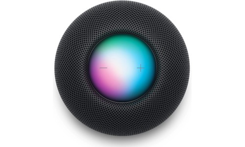 Space 2024 gray homepod