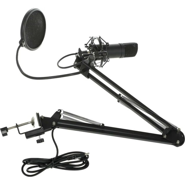 Микрофон проводной Ritmix RDM-180, черный