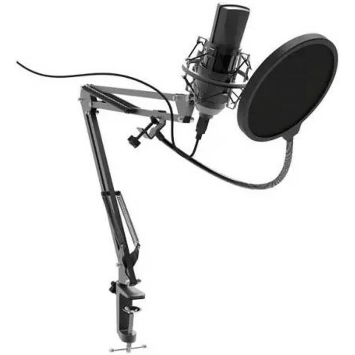 Микрофон проводной Ritmix RDM-180, черный