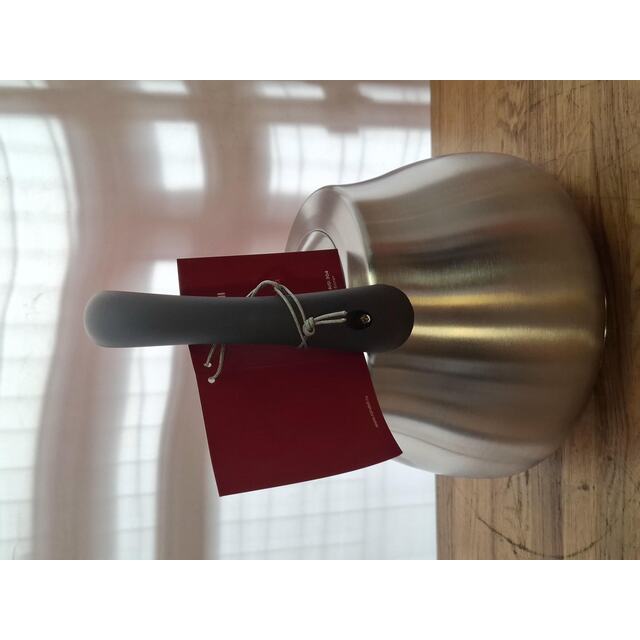 Чайник металлический Rondell Admiring RDS-1898 (Цвет: Inox) Чайник металлический Rondell Admiring RDS-1898 (Цвет: Inox)