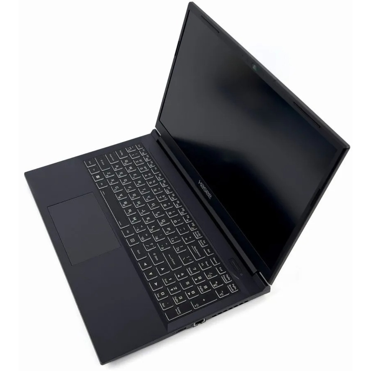 Ноутбук Hasee T8-DA5NP+ Core i5 12500H 16Gb SSD512Gb NVIDIA GeForce RTX 3060 6Gb 16 IPS 2.5K (2560x1600) Free DOS black WiFi BT Cam 3410mAh