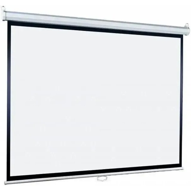 Экран Lumien Eco Picture LEP-100113, белый