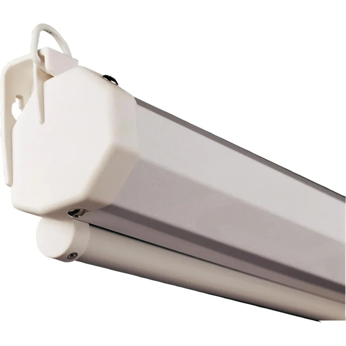 Экран Lumien Eco Picture LEP-100113, белый