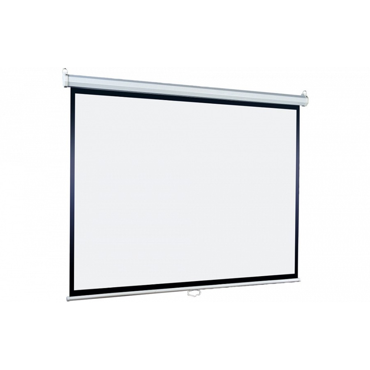 Экран Lumien Eco Picture LEP-100122