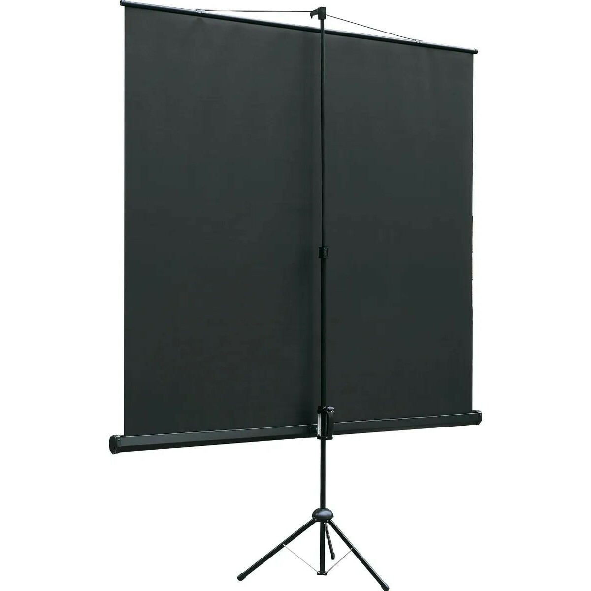 Экран Lumien Eco View LEV-100109