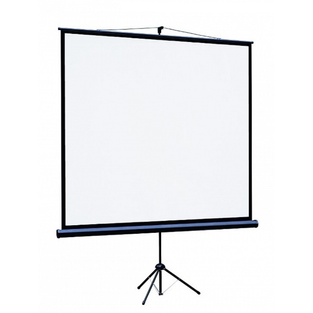 Экран на треноге Lumien Eco View LEV-100111