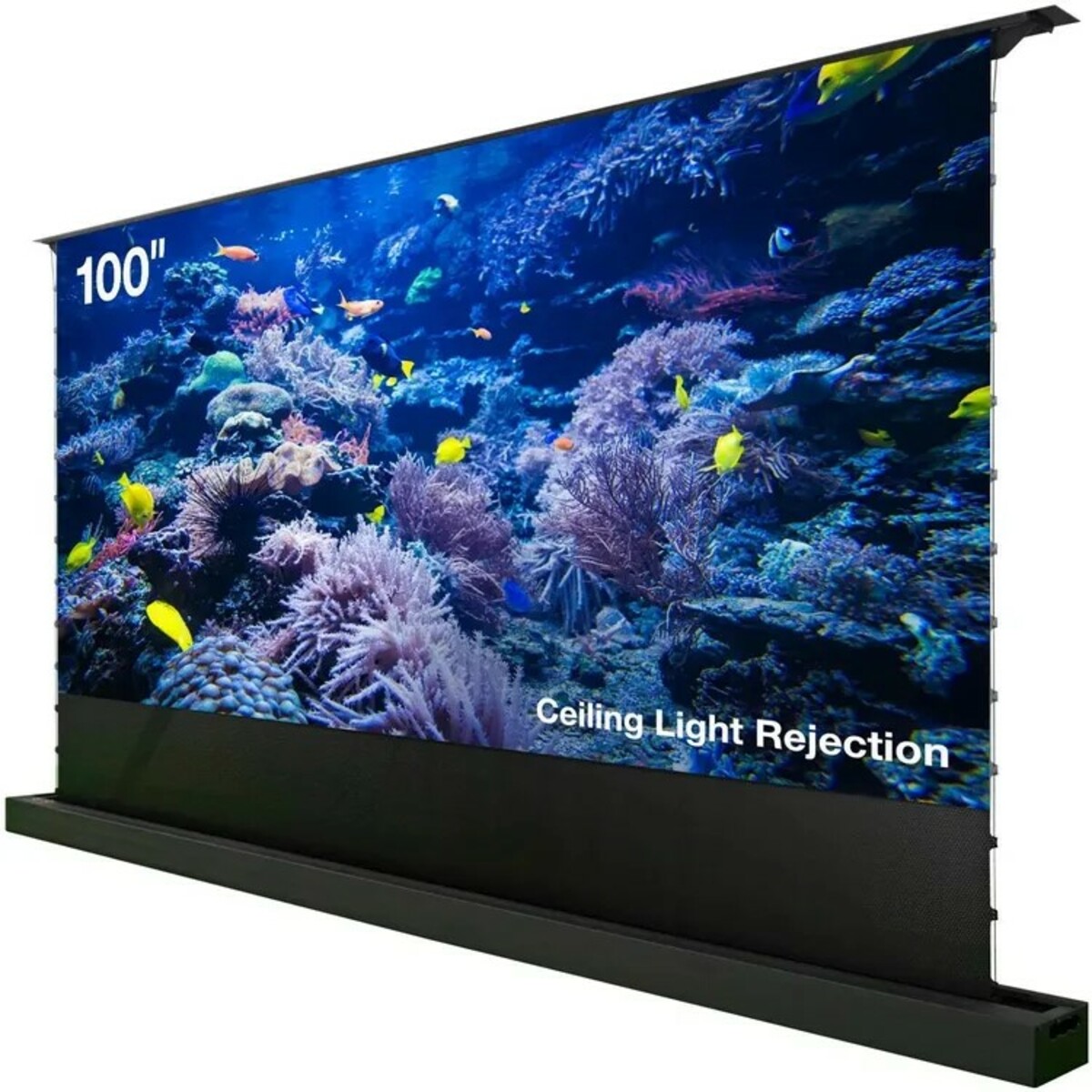 Cactus FloorRising CS-PSFRCLR-221X125