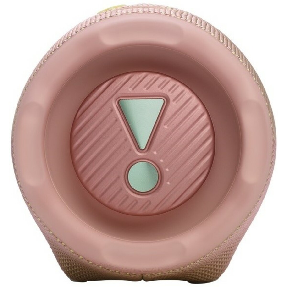 Портативная колонка JBL Charge 6 (Цвет: Pink)