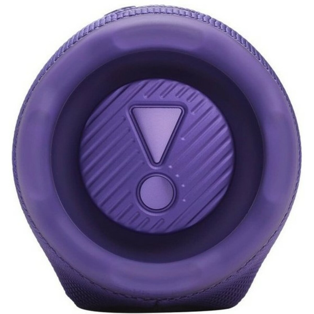 Портативная колонка JBL Charge 6 (Цвет: Purple)