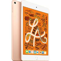 Планшет Apple iPad mini (2019) 256Gb Wi-Fi (Цвет: Gold)