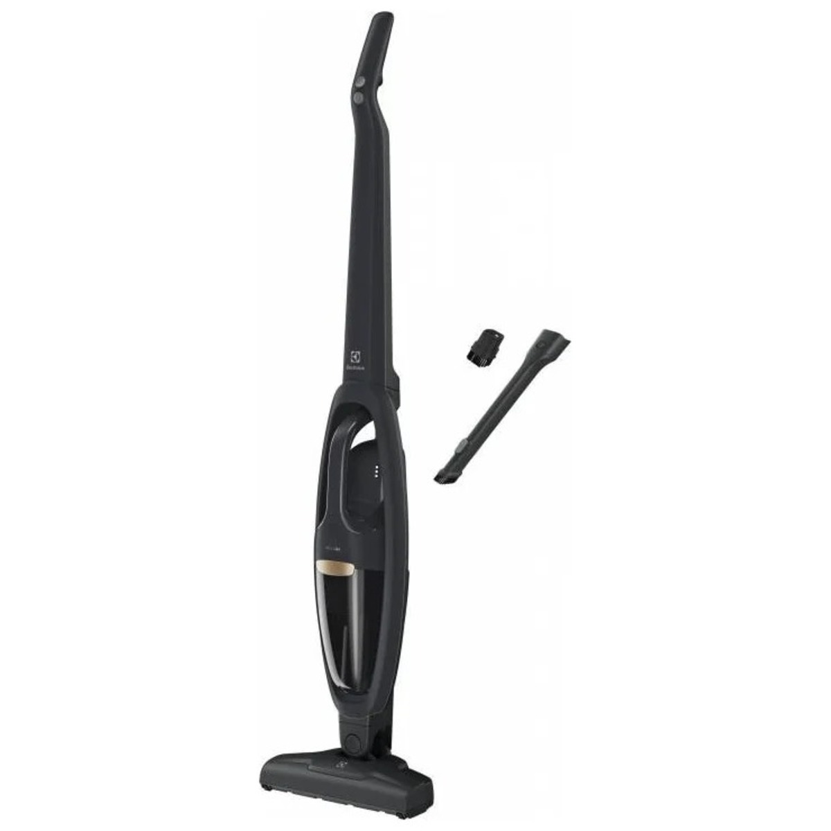 Пылесос вертикальный Electrolux WELL Q6 (Цвет: Graphite)