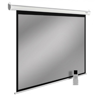 Экран Cactus SIlverMotoExpert CS-PSSME-220X138-WT