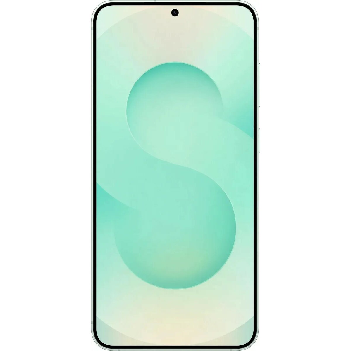 Смартфон Samsung Galaxy S25+ 12/512Gb (Цвет: Mint)