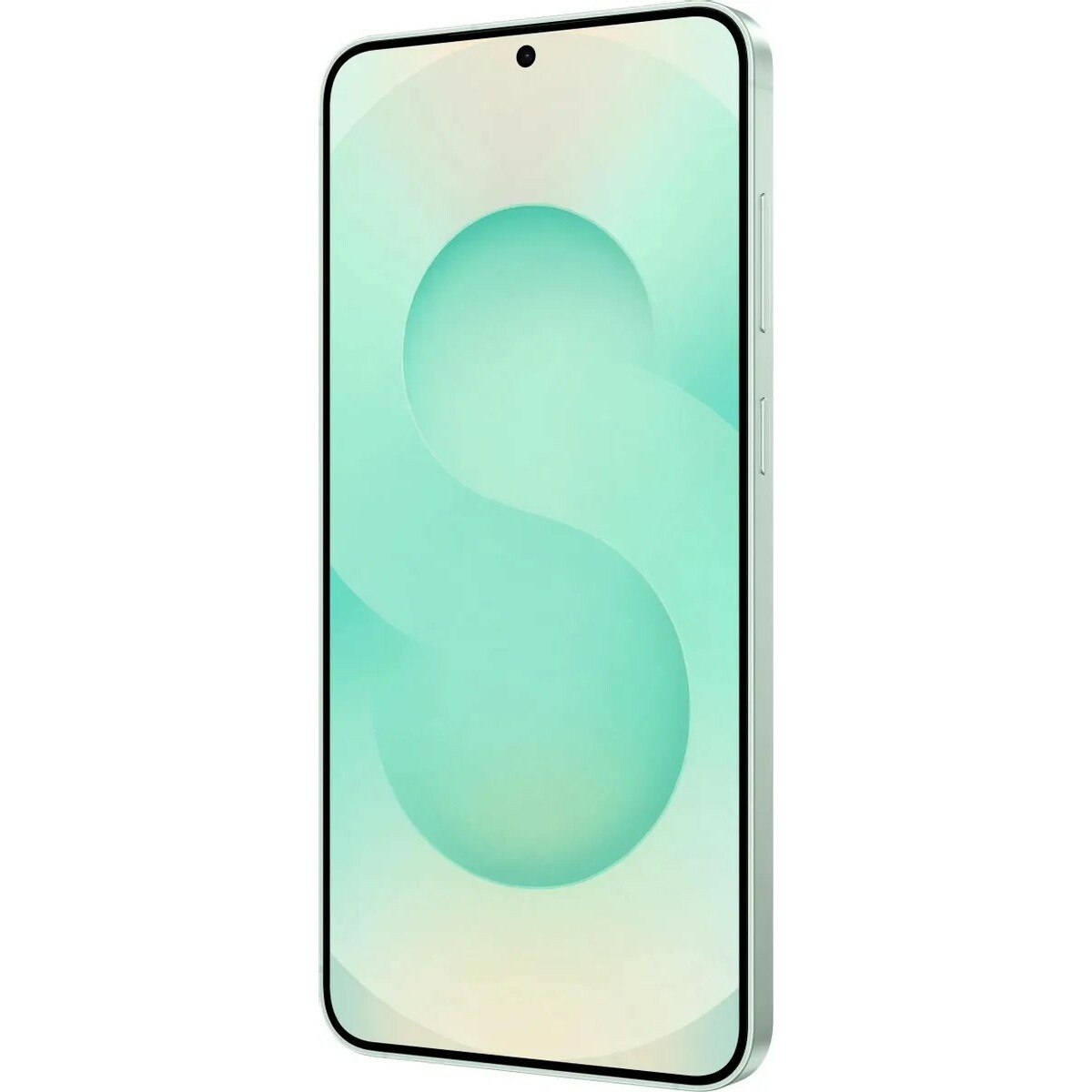 Смартфон Samsung Galaxy S25+ 12/512Gb (Цвет: Mint)