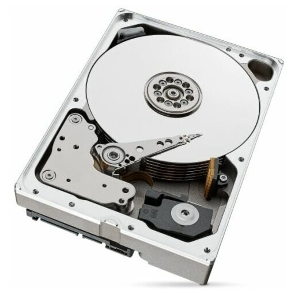 Жесткий диск SEAGATE 10Tb ST10000VN000 